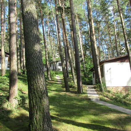 Feriendorf Mengshausen Niederaula Ngoại thất bức ảnh