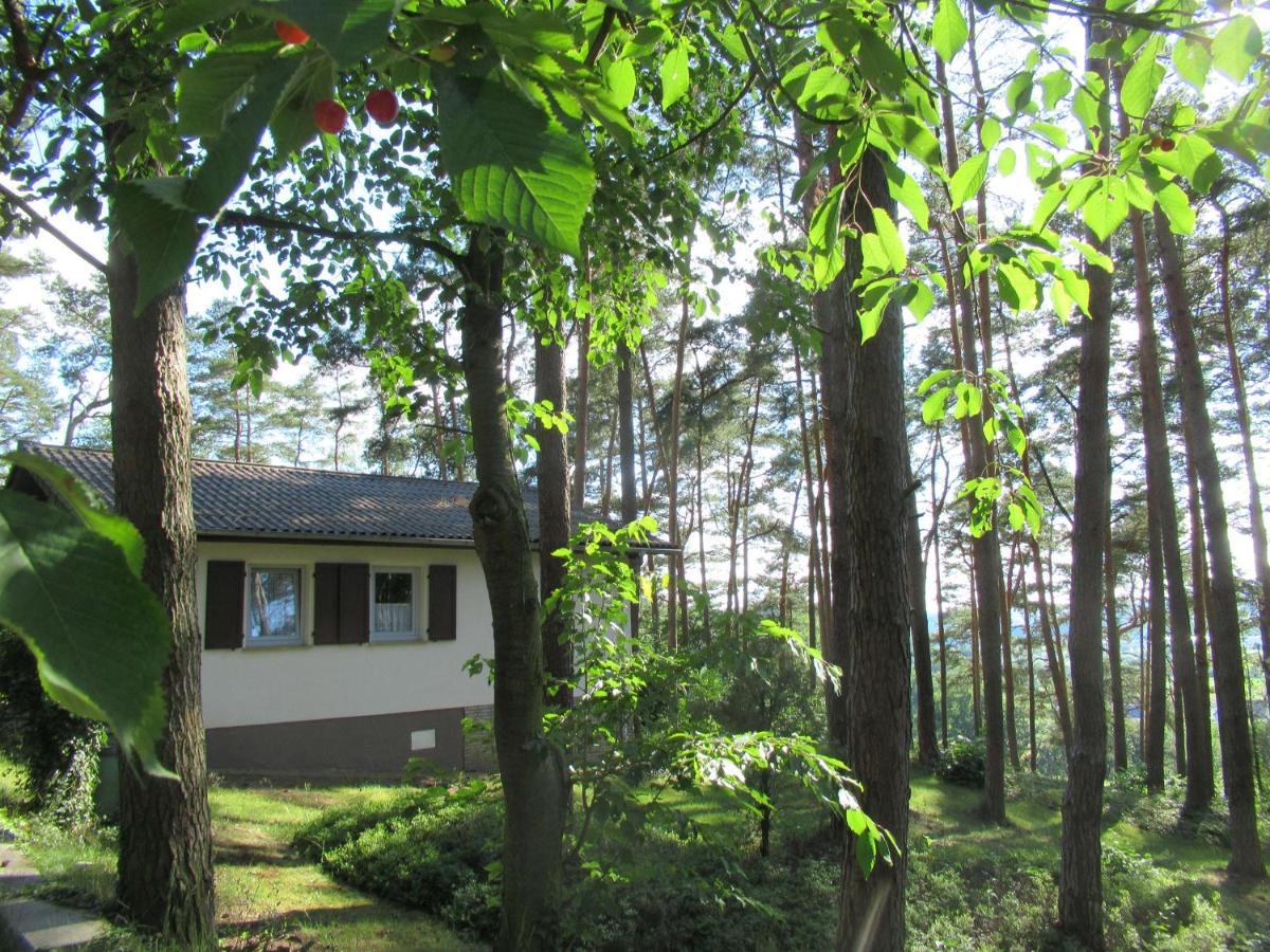 Feriendorf Mengshausen Niederaula Ngoại thất bức ảnh